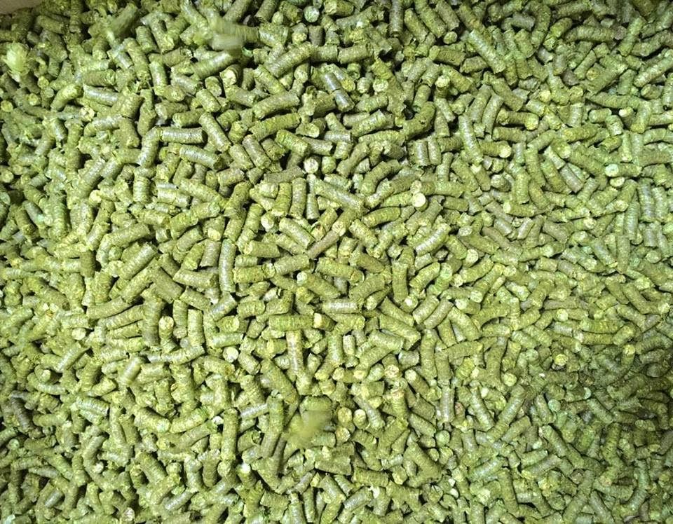 Pellets de houblon Bio T90